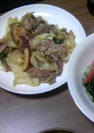 豚肉の豆板醤入り野菜炒め-レシピのメイン写真