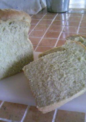 抹茶風味!ふんわりしっとりもちもちパン♪-レシピのメイン写真