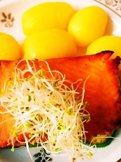 サーモンの味噌漬け-レシピのメイン写真
