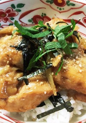 鶏胸肉の照り焼き丼-レシピのメイン写真