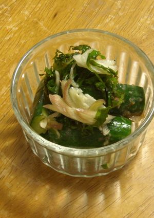 かつお風味の梅みそきゅうり-レシピのメイン写真