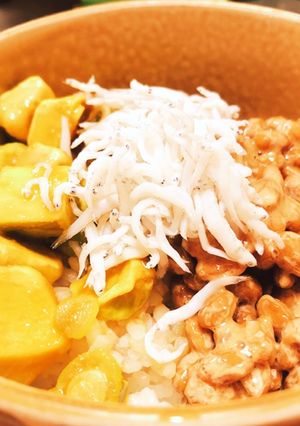 業ス①ダイスアボカドと納豆しらすで簡単丼-レシピのメイン写真