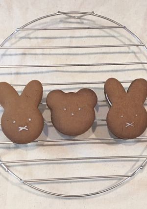 【グルテンフリー】おからパウダークッキー-レシピのメイン写真