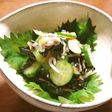 フェイク料理 オカワカメと胡瓜の酢の物