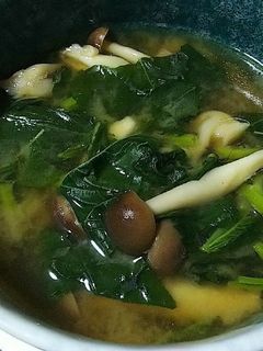 モロヘイヤとしめじの味噌汁-レシピのメイン写真