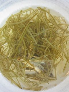 こんぶといりこのレンジ合わせだし-レシピのメイン写真