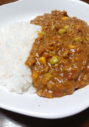 巨大キュウリ大量消費!夏野菜キーマカレー-レシピのメイン写真