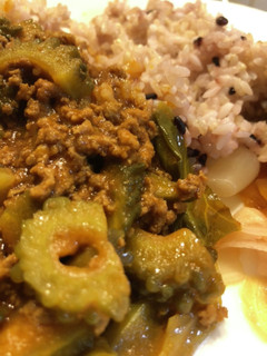 野菜ジュースで本格ゴーヤカレー-レシピのメイン写真