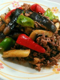 秋ナスと牛肉の味噌炒め-レシピのメイン写真