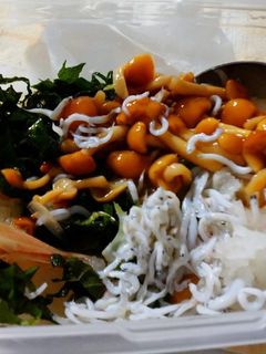 薬味タップリ、しらすナメコおろし-レシピのメイン写真