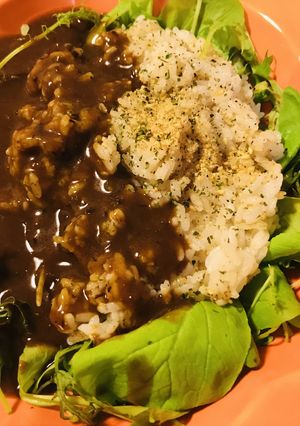 レトルト●胡麻ごはん／セサミライスカレー-レシピのメイン写真