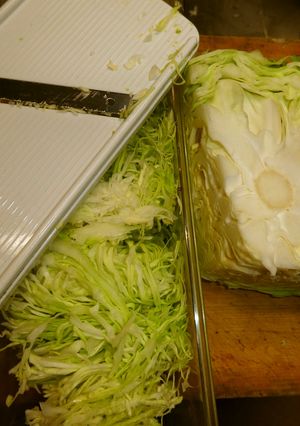キャベツの千切り-レシピのメイン写真