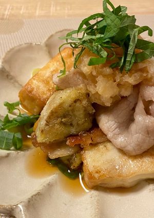 厚揚げと豚肉とナスのおろしぽん酢かけ*+-レシピのメイン写真