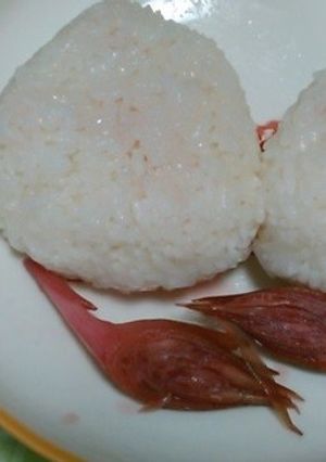 ミョウガの梅酢漬けの漬け汁でおにぎり-レシピのメイン写真
