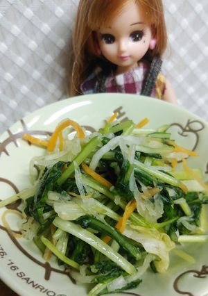 リカちゃん♡みぶなの浅漬け風サラダꕤ*｡-レシピのメイン写真