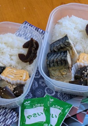 お弁当2025年8月14日-レシピのメイン写真