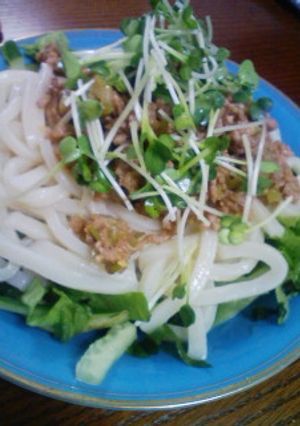 サラダwith♪肉みそうどん-レシピのメイン写真