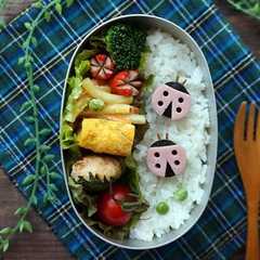 รูปของ キャラ弁☆テントウムシ
