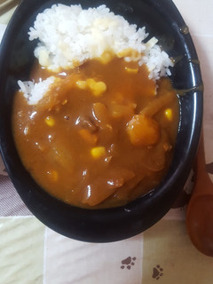 野菜ジュースで時短カレー-レシピのメイン写真