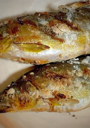 子持ち鮎の塩焼き-レシピのメイン写真