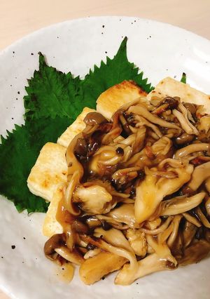 和風きのこソースの豆腐ステーキ-レシピのメイン写真