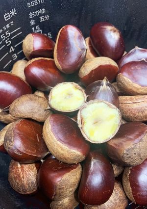 炊飯器でカンタン♪蒸し栗♪-レシピのメイン写真