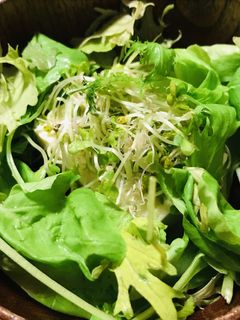 冷や奴のスプラウト&ベビーリーフサラダ-レシピのメイン写真