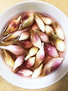 ミョウガの甘酢漬け-レシピのメイン写真