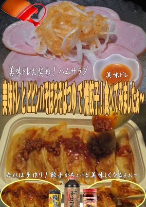美味ドレとビビンバそばつゆ鶏そぼろ焼餃子-レシピのメイン写真