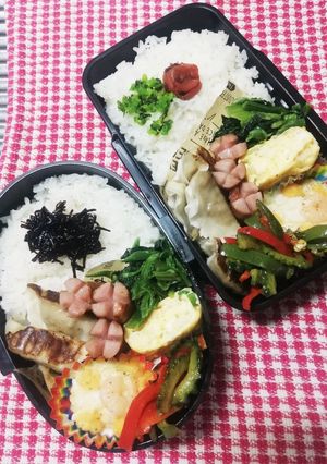 高校男子弁当♡肉餃子9/16-レシピのメイン写真