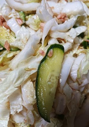 白菜のさっぱりサラダ-レシピのメイン写真