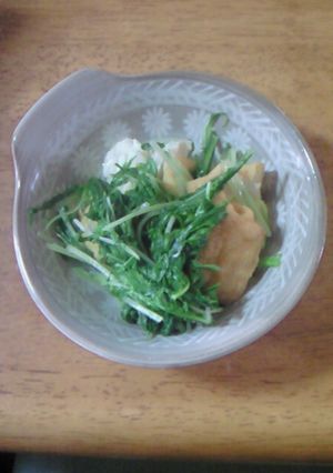 シャキシャキ水菜と厚揚げのサッと煮-レシピのメイン写真