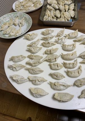 夏の終わりのバジル餃子-レシピのメイン写真