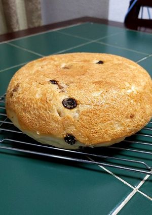 卵乳なしサイダーで炊飯器バナナケーキ-レシピのメイン写真
