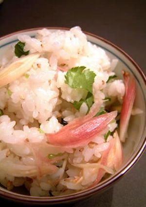 みょうがの混ぜご飯-レシピのメイン写真