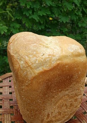 HBでフランスパン風食パン-レシピのメイン写真