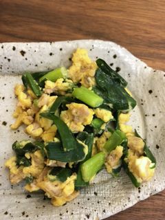 ニラ玉ひき肉入り、味付けは麺つゆのみ-レシピのメイン写真