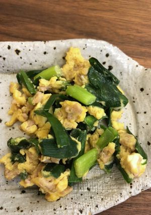 ニラ玉ひき肉入り、味付けは麺つゆのみ-レシピのメイン写真