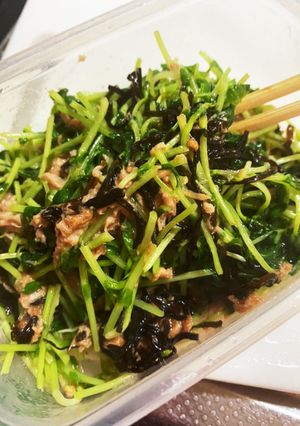 豆苗とツナの塩昆布あえ-レシピのメイン写真