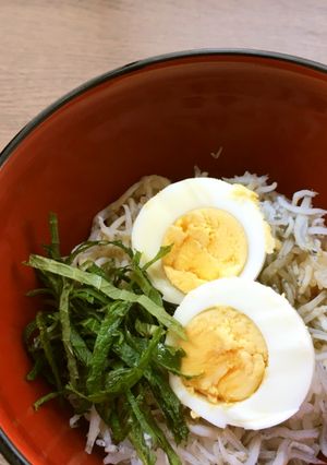 ゆで卵のっけ、しらす丼-レシピのメイン写真