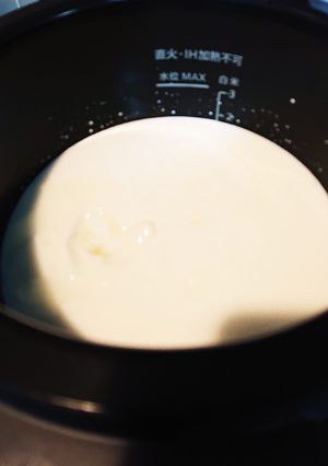 ホットクックでヨーグルト-レシピのメイン写真