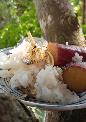 煮干しと金時芋の炊け込みご飯-レシピのメイン写真
