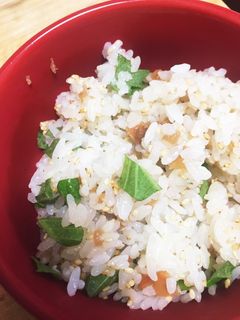 【超簡単】梅干しの炊き込みご飯-レシピのメイン写真