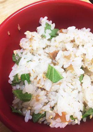 【超簡単】梅干しの炊き込みご飯-レシピのメイン写真