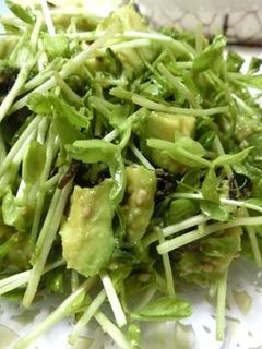 切って混ぜるだけ☆豆苗とアボカドのサラダ-レシピのメイン写真