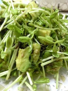 切って混ぜるだけ☆豆苗とアボカドのサラダ-レシピのメイン写真