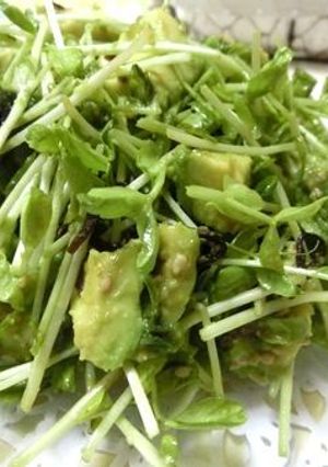 切って混ぜるだけ☆豆苗とアボカドのサラダ-レシピのメイン写真