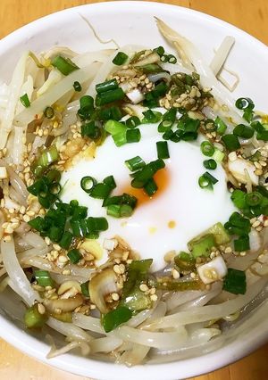 お財布に優しい簡単もやし丼-レシピのメイン写真