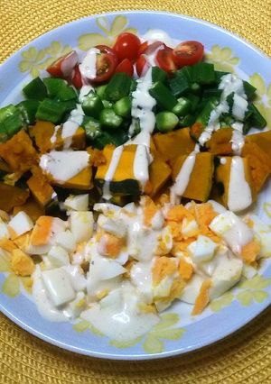 夏野菜のヘルシーコブサラダ-レシピのメイン写真