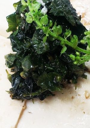 お年寄り絶賛シリーズ☆大葉、穂じそ漬け☆-レシピのメイン写真